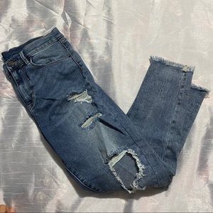 Urban Outfitters BDG Crop Twig High Rise Jeans